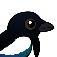 Black-billed Magpie