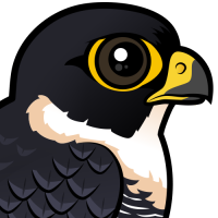 Bat Falcon