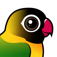 Yellow-collared Lovebird
