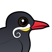 Inca Tern