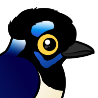 Plush-crested Jay