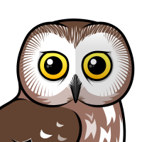 Northern Saw-whet Owl