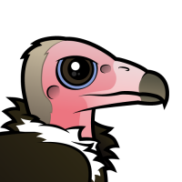 Hooded Vulture