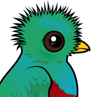 Resplendent Quetzal