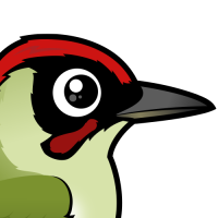 Green Woodpecker