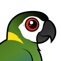 Golden-collared Macaw