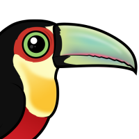Red-breasted Toucan