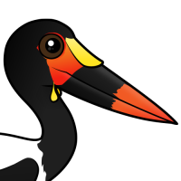 Saddle-billed Stork