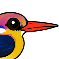 Black-backed Dwarf-Kingfisher