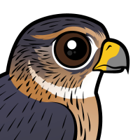 Merlin