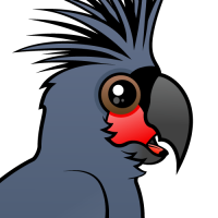 Palm Cockatoo