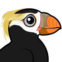 Tufted Puffin