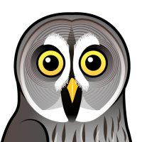 Great Grey Owl