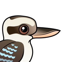 Laughing Kookaburra
