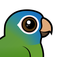 Blue-crowned Conure