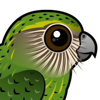 Kakapo