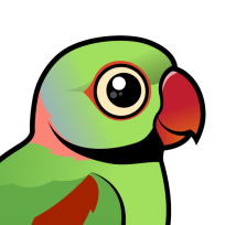 Alexandrine Parakeet