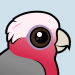 Galah