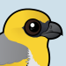 Palila