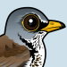 Fieldfare