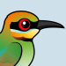 Rainbow Bee-eater