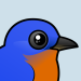 Eastern Bluebird