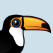 Toco Toucan