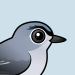 Blue-gray Gnatcatcher