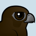 Black Falcon