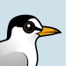 Least Tern