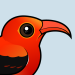 'I'iwi