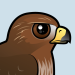Red-tailed Hawk