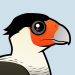 Crested Caracara