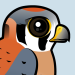 American Kestrel
