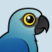 Spix's Macaw