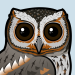 Flammulated Owl