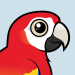 Scarlet Macaw