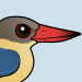 Stork-billed Kingfisher