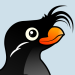 Crested Auklet