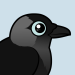 Jackdaw