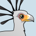 Secretary Bird