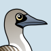 Blue-footed Booby