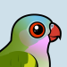 Princess Parrot