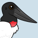 Jabiru