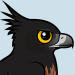 Black-and-chestnut Eagle