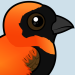 Southern Red Bishop