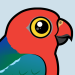 Australian King-Parrot