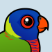 Rainbow Lorikeet