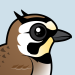 Horned Lark