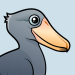 Shoebill